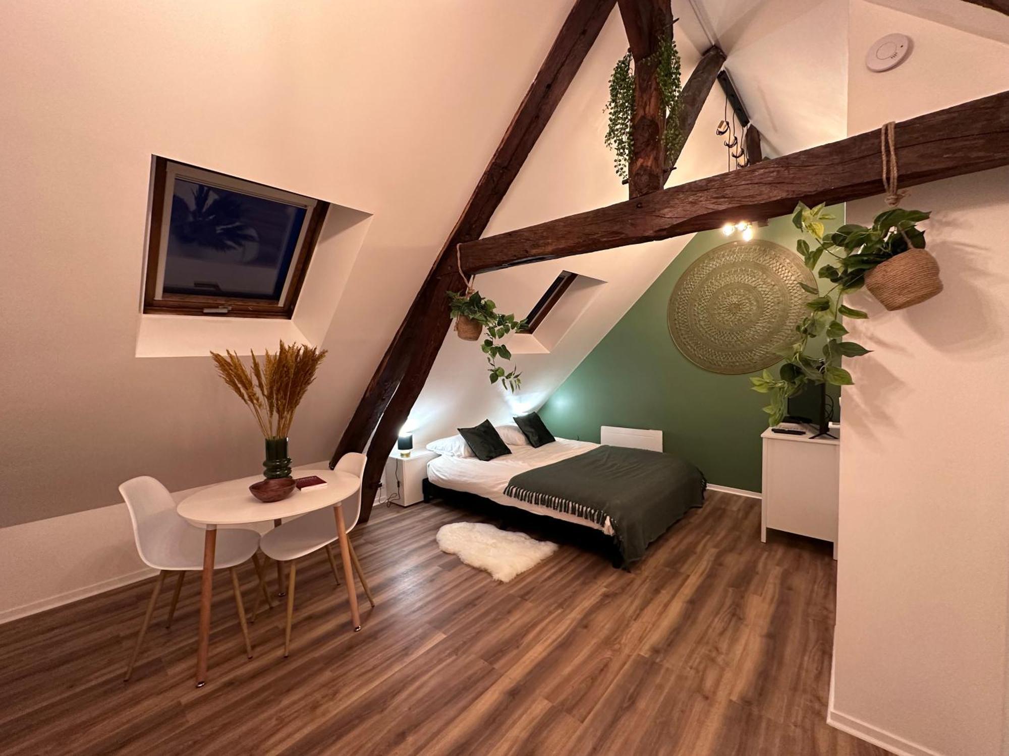 Le Nid Douillet - Hypercentre -