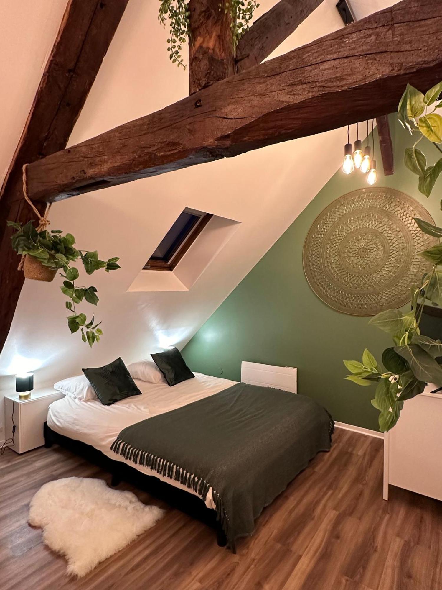 Le Nid Douillet - Hypercentre - Apartment
