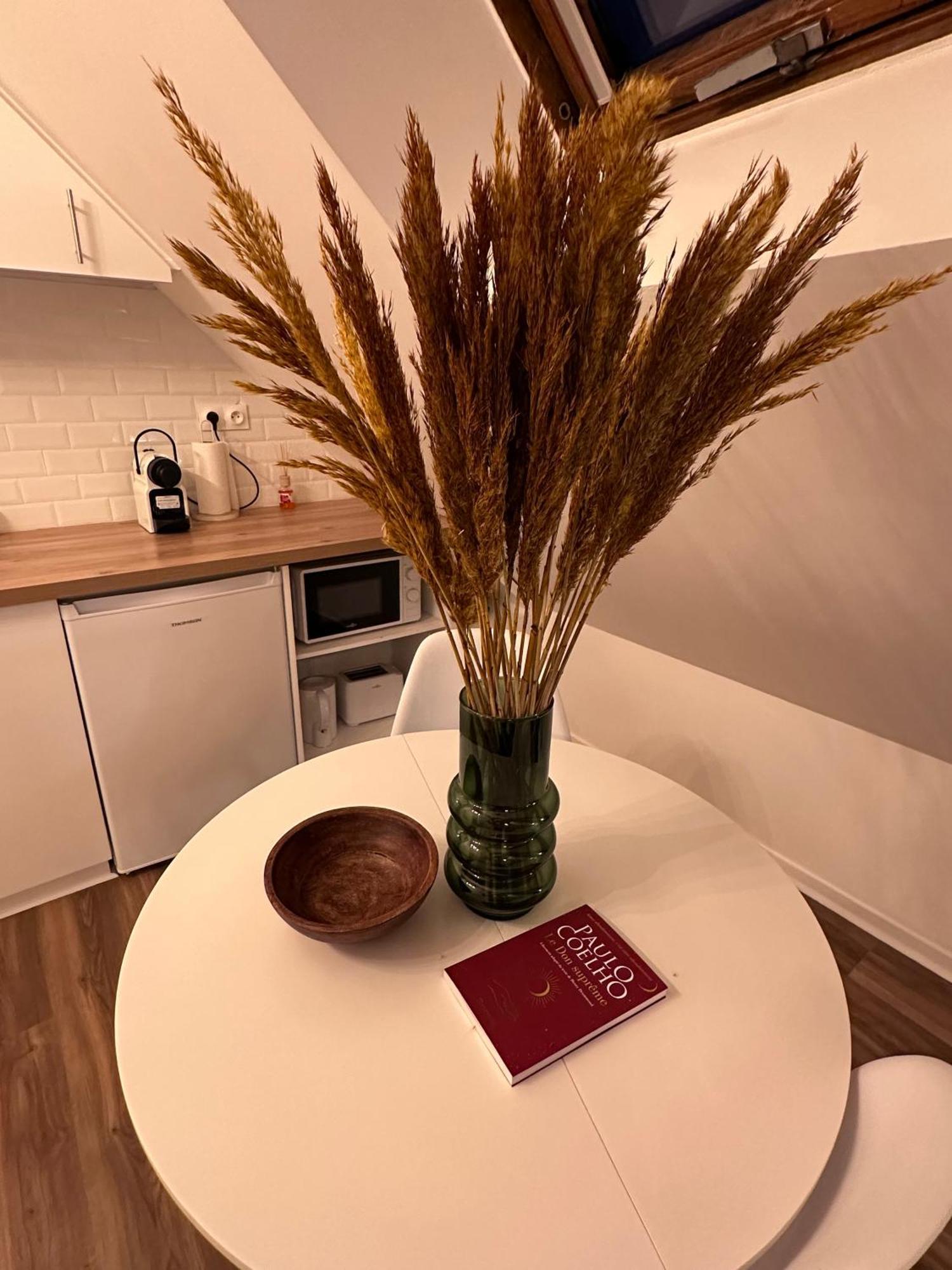 Le Nid Douillet - Hypercentre - Apartment