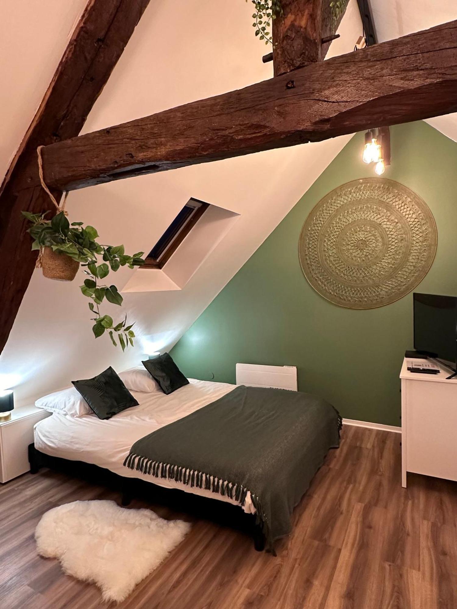 Le Nid Douillet - Hypercentre - Apartment